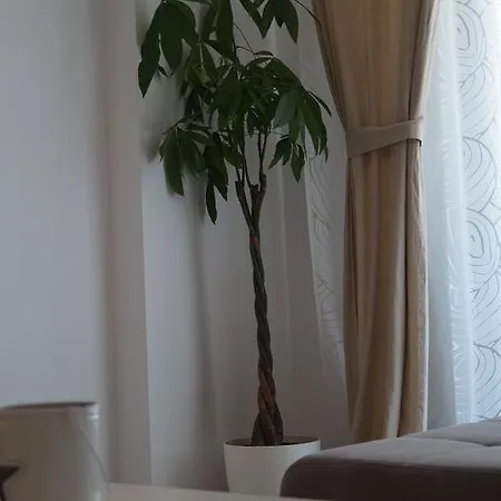 Floriday Mamaia Năvodari